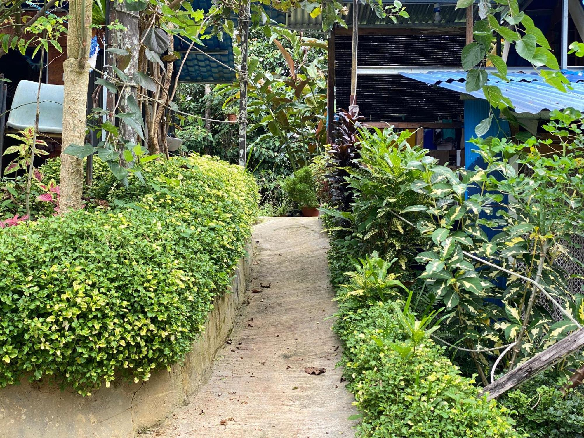 Da Family Mini Garden Hotel Ranau Ngoại thất bức ảnh